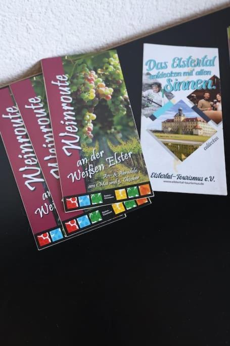 Ferienwohnung Weingut Lahmer August Kretzschau Buitenkant foto
